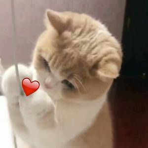 成人❌吸乳18禁羞羞网站直接看
